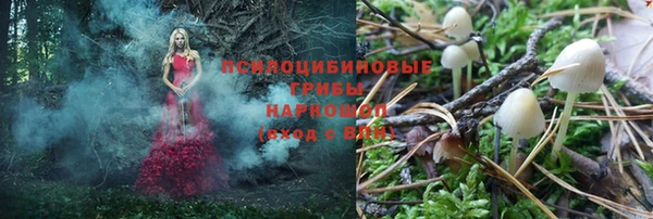марки lsd Зеленокумск
