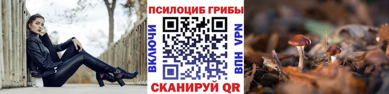 Купить где  Никольск  Галлюциногенные грибы ЛСД 